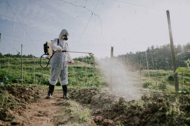 Best Local Pest Control Services  in Fox Point, WI